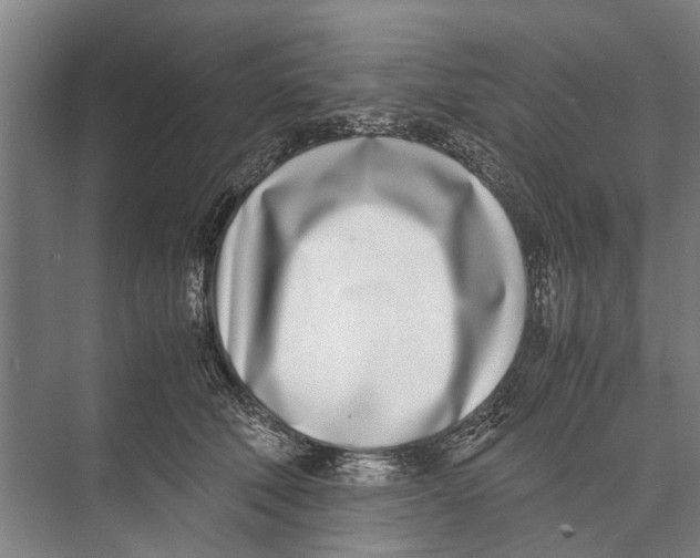 X0000071950610200608041555