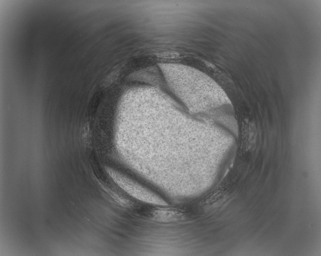 X0000071950614200608041555