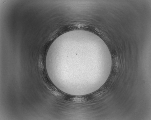 X0000071950615200608041555