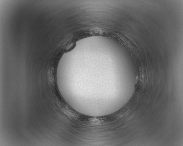 X0000071950616200608041555