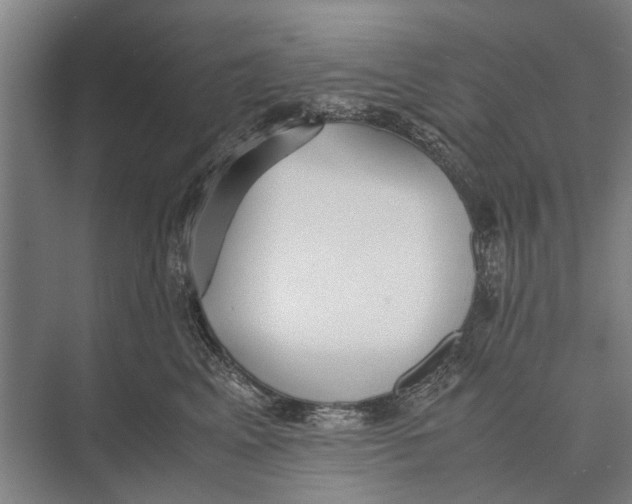 X0000071950617200608041555