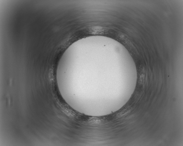 X0000071950620200608041555