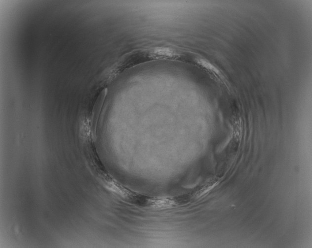 X0000071950621200608041555