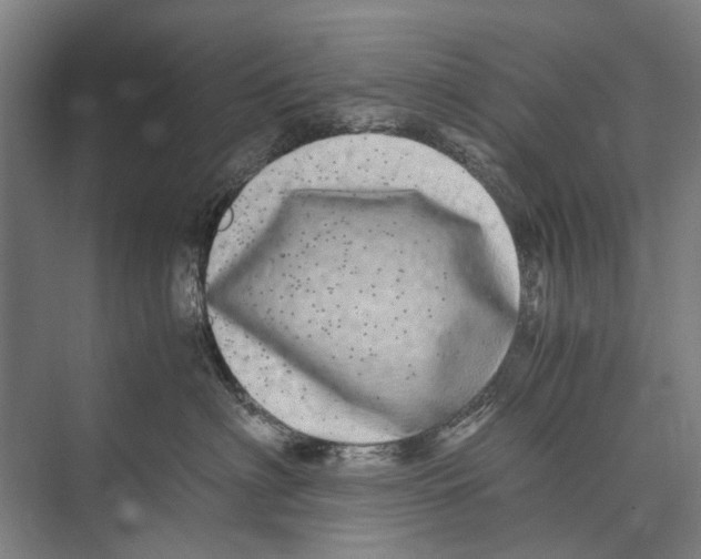 X0000071950622200608041555