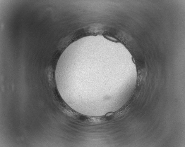 X0000071950623200608041555