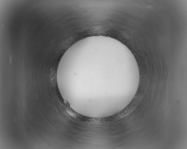 X0000071950624200608041555