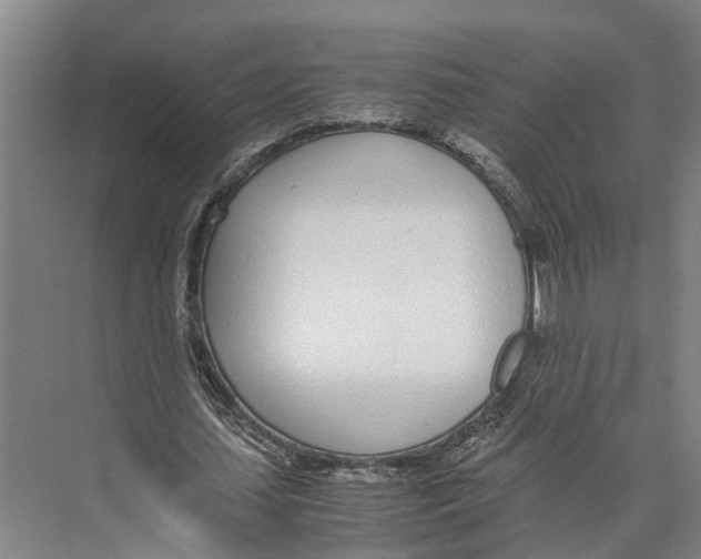 X0000071950627200608041554