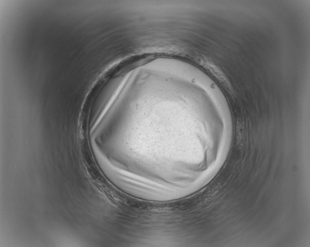 X0000071950628200608041554