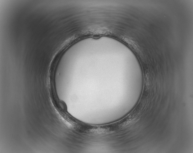 X0000071950630200608041554