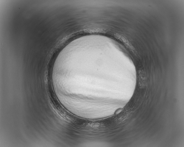 X0000071950631200608041554