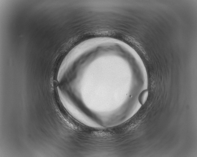 X0000071950633200608041554