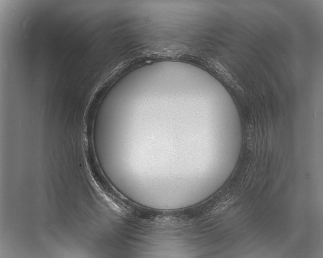 X0000071950634200608041554