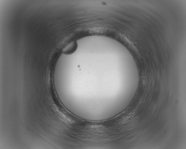 X0000071950637200608041554