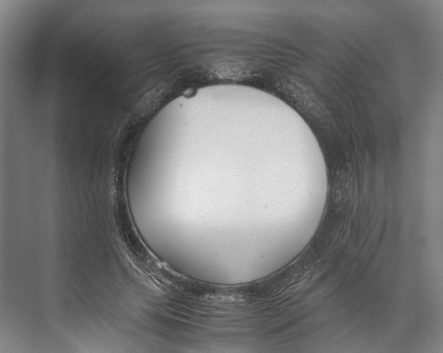 X0000071950639200608041554