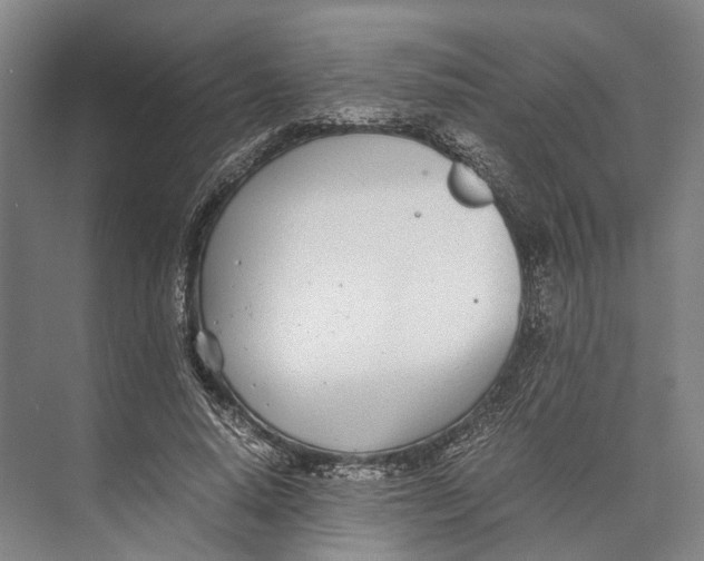 X0000071950640200608041554