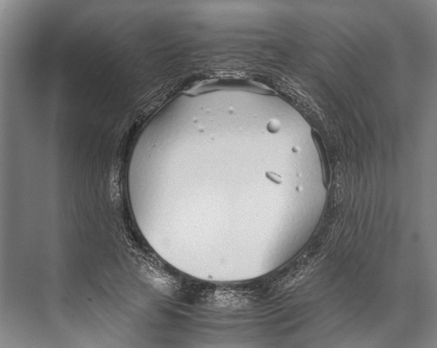 X0000071950641200608041554