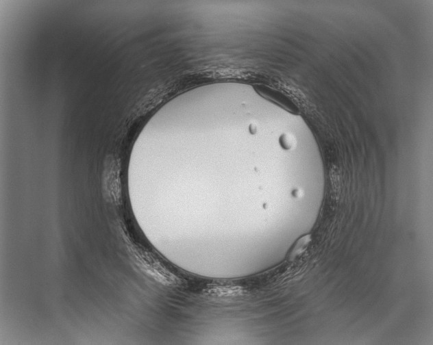 X0000071950642200608041554