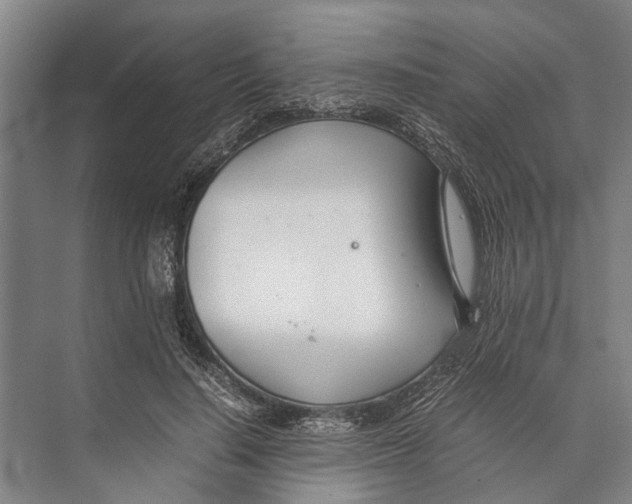 X0000071950644200608041554