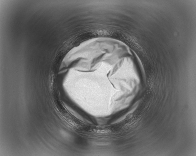 X0000071950645200608041554