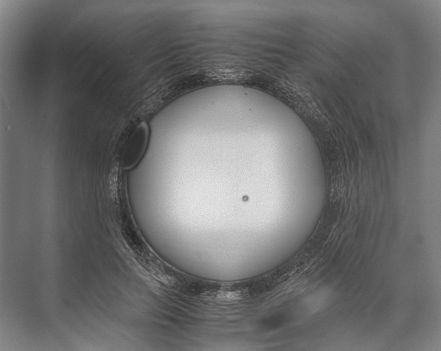 X0000071950647200608041554