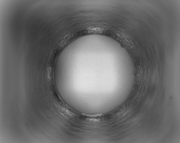 X0000071950649200608041554