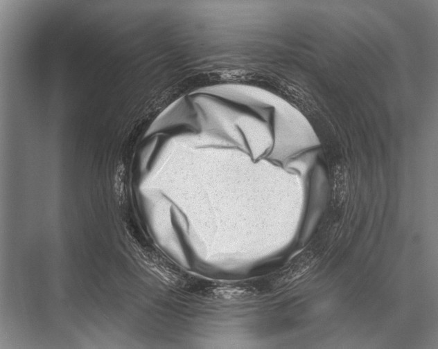 X0000071950650200608041554