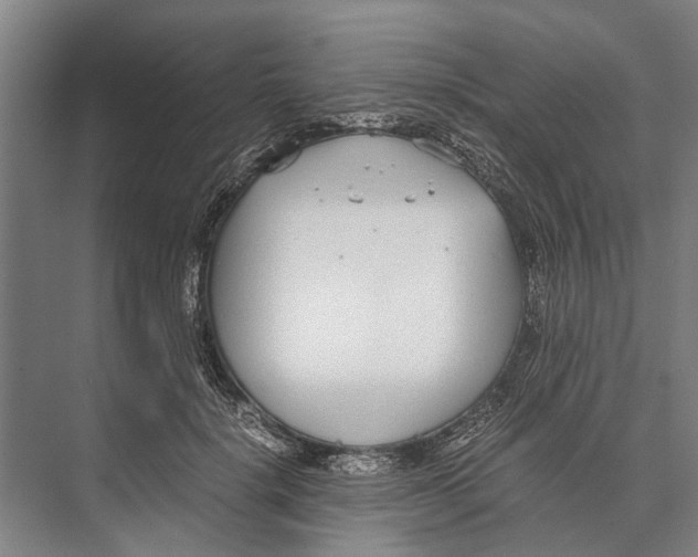 X0000071950652200608041554