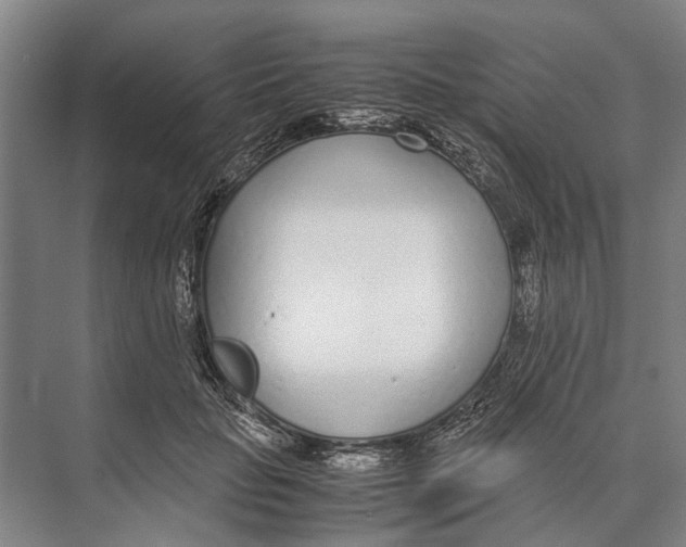 X0000071950653200608041554