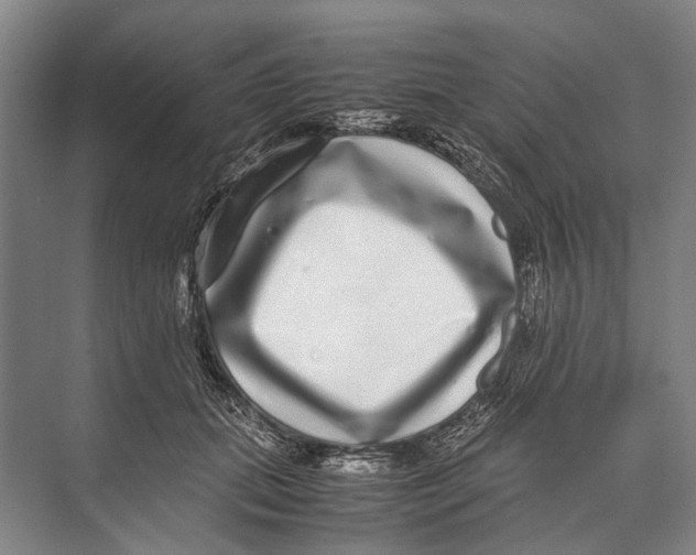 X0000071950655200608041554