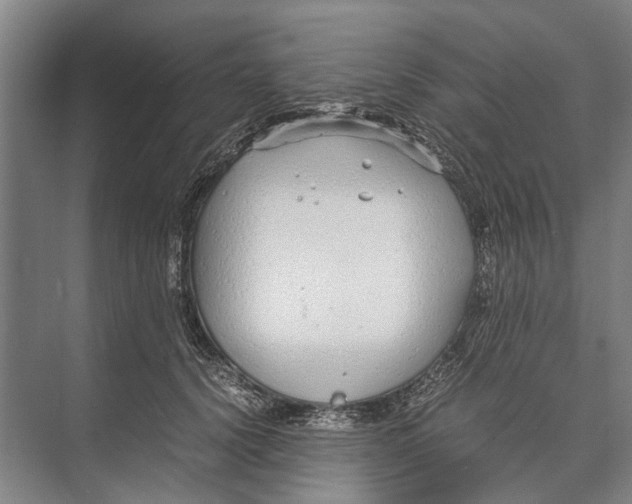 X0000071950656200608041554