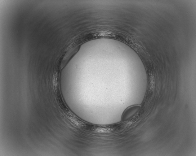 X0000071950657200608041554