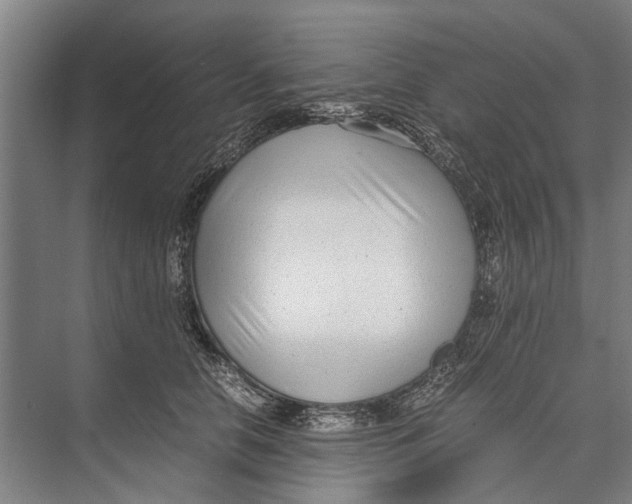 X0000071950658200608041554