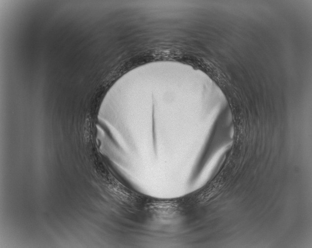 X0000071950659200608041554