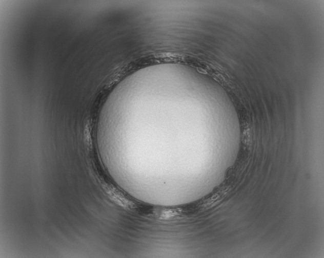 X0000071950662200608041554