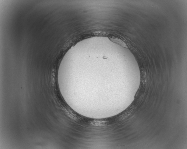 X0000071950664200608041554