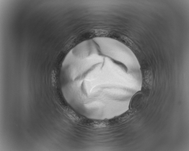 X0000071950667200608041554