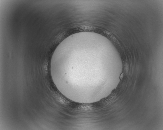 X0000071950668200608041555