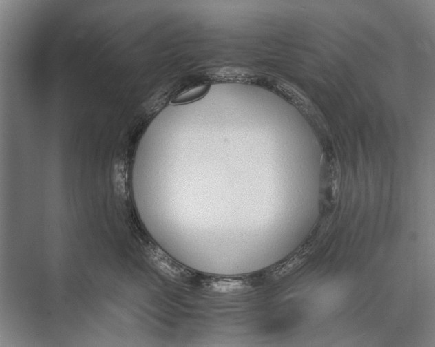 X0000071950669200608041555