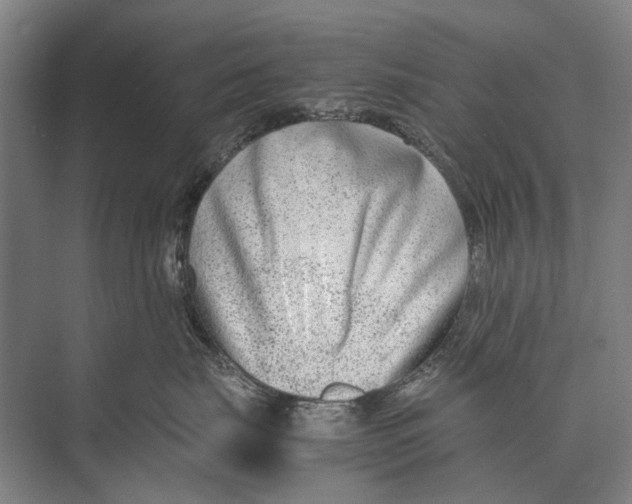 X0000071950671200608041555