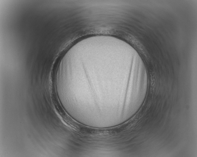 X0000071950674200608041554