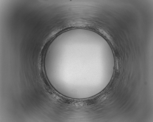 X0000071950675200608041554