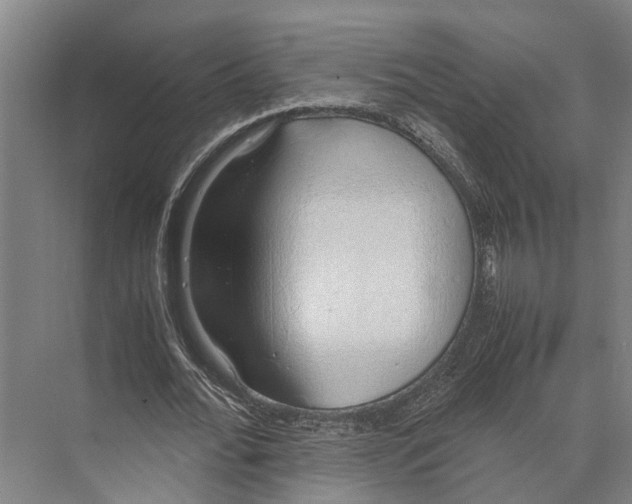 X0000071950676200608041554