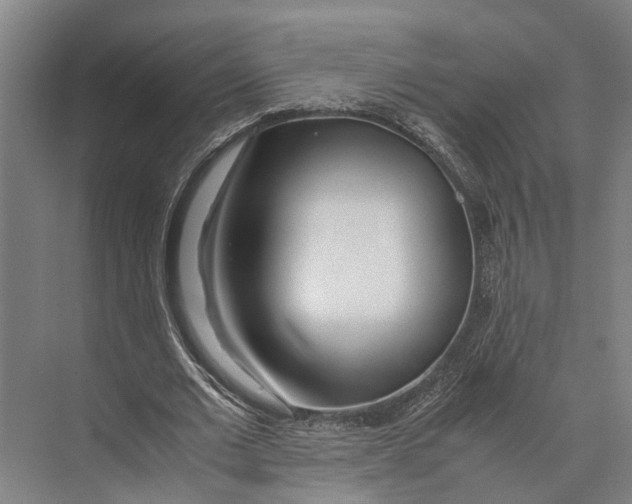 X0000071950677200608041554