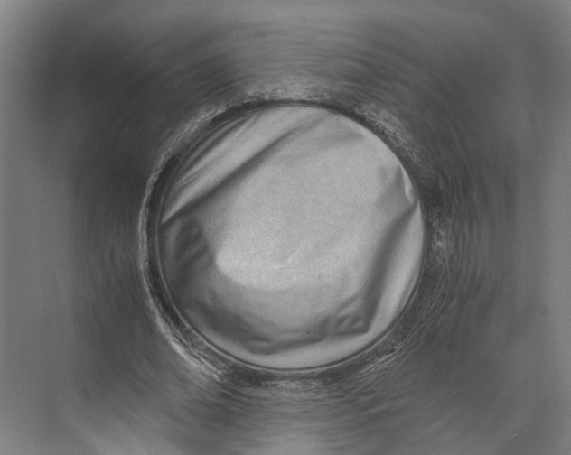 X0000071950678200608041554