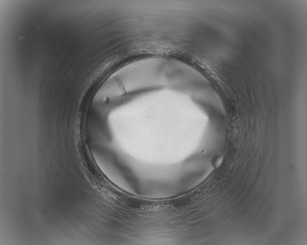 X0000071950679200608041554