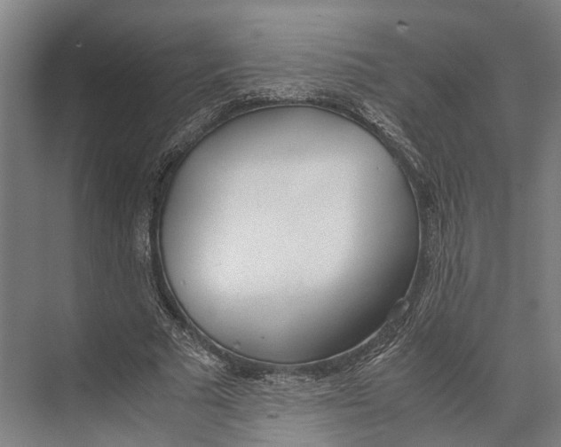 X0000071950681200608041554