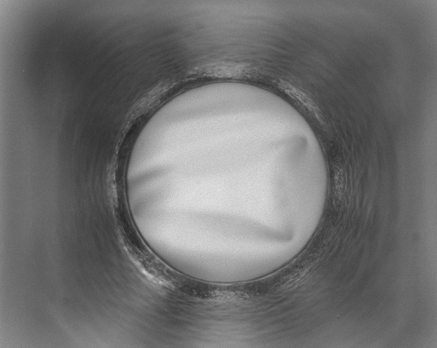 X0000071950682200608041554