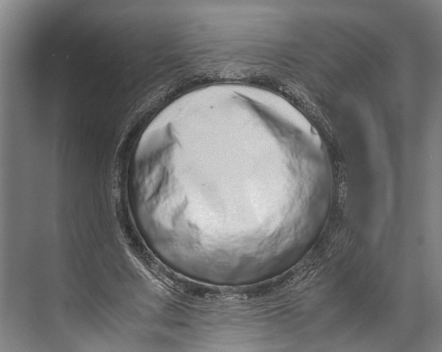 X0000071950683200608041554