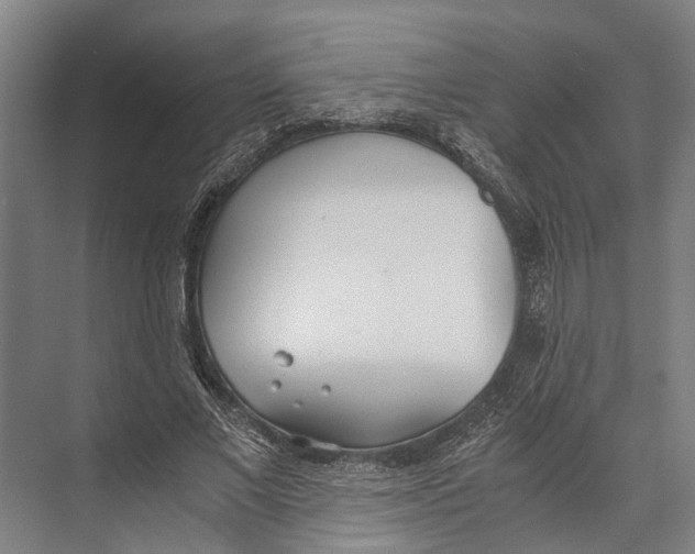 X0000071950685200608041554