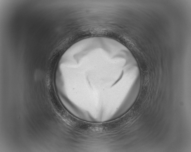 X0000071950687200608041554